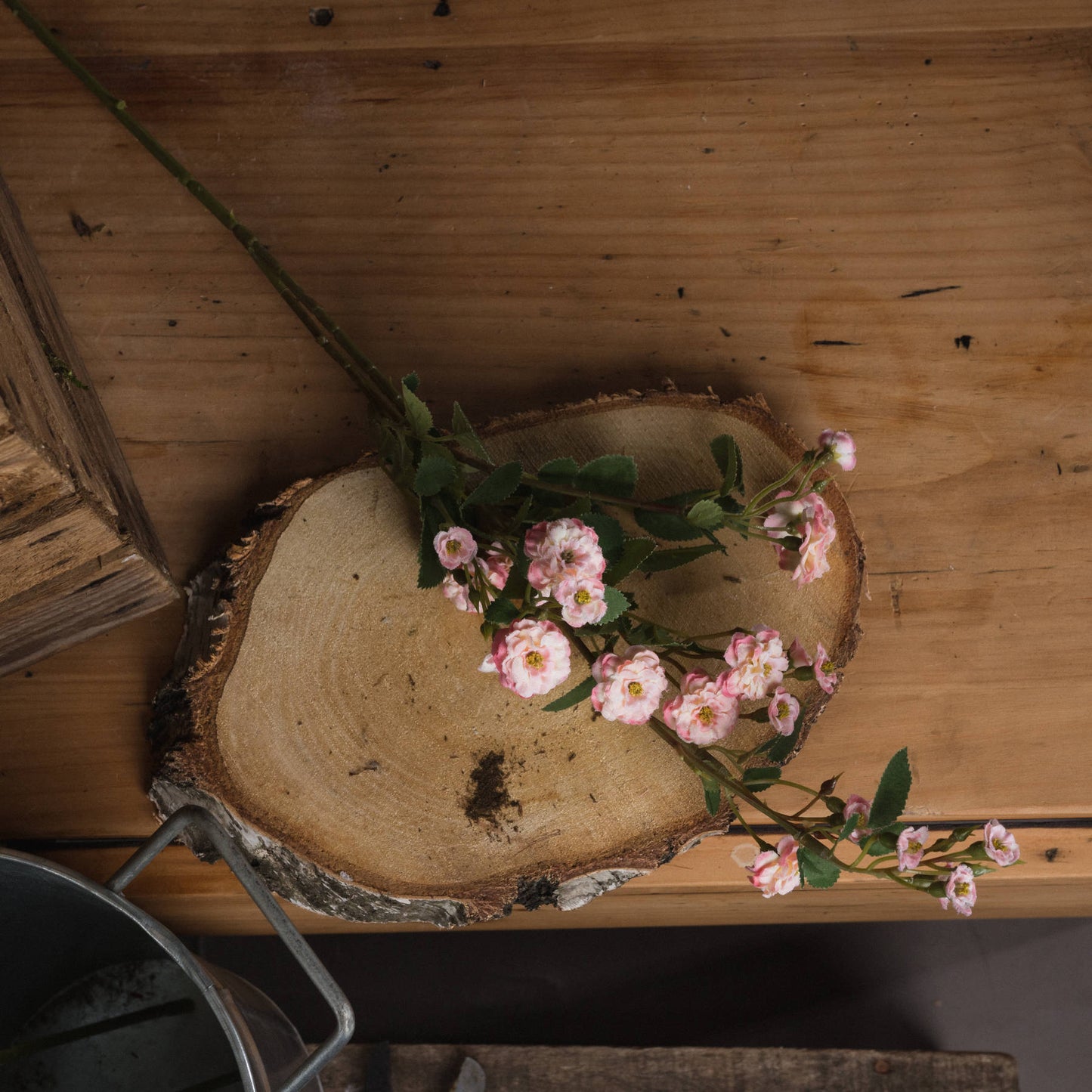 Pink Wild Meadow Rose