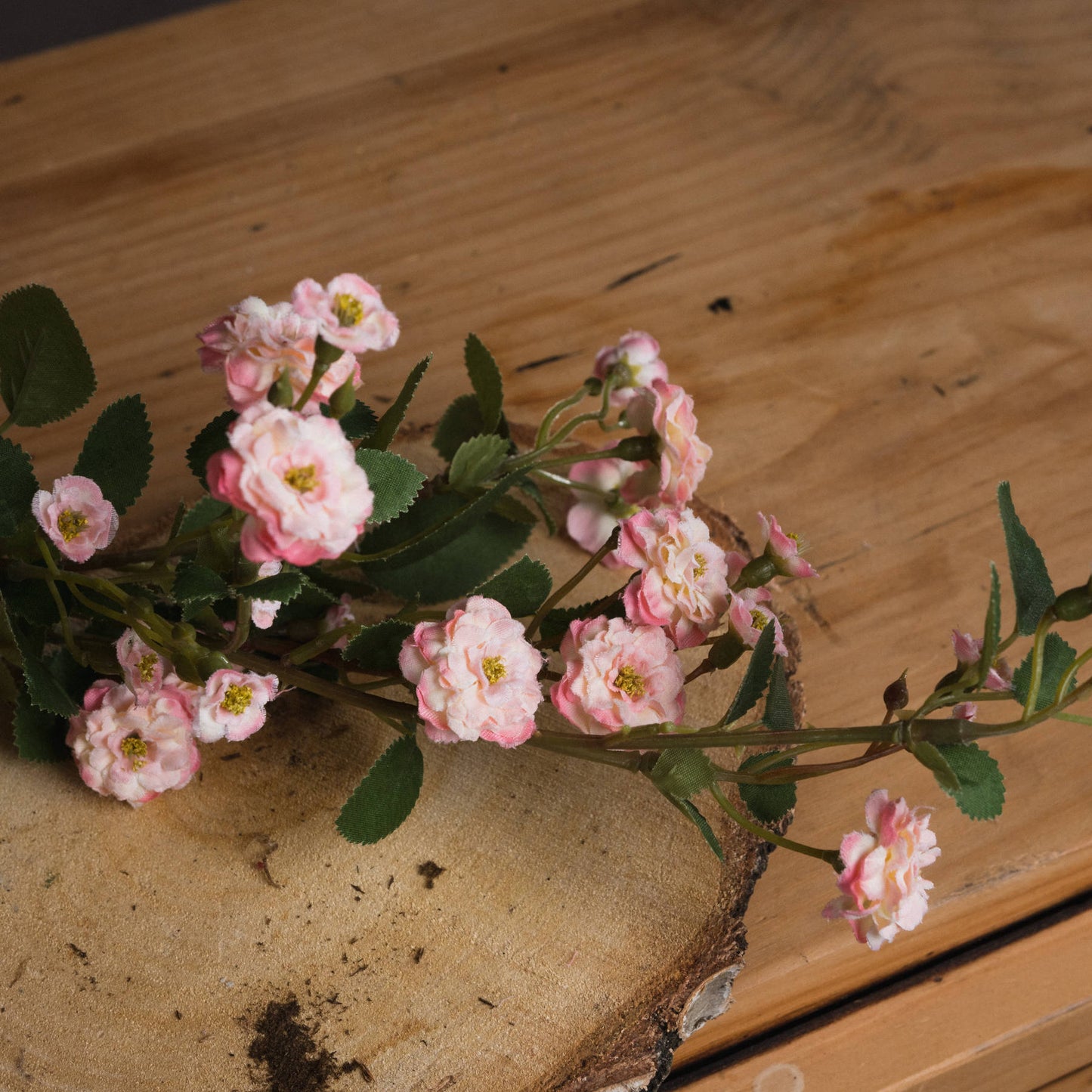 Pink Wild Meadow Rose