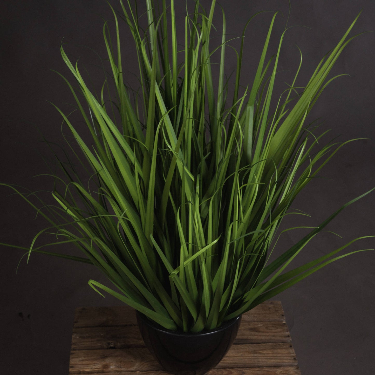 Large Field Grass pot