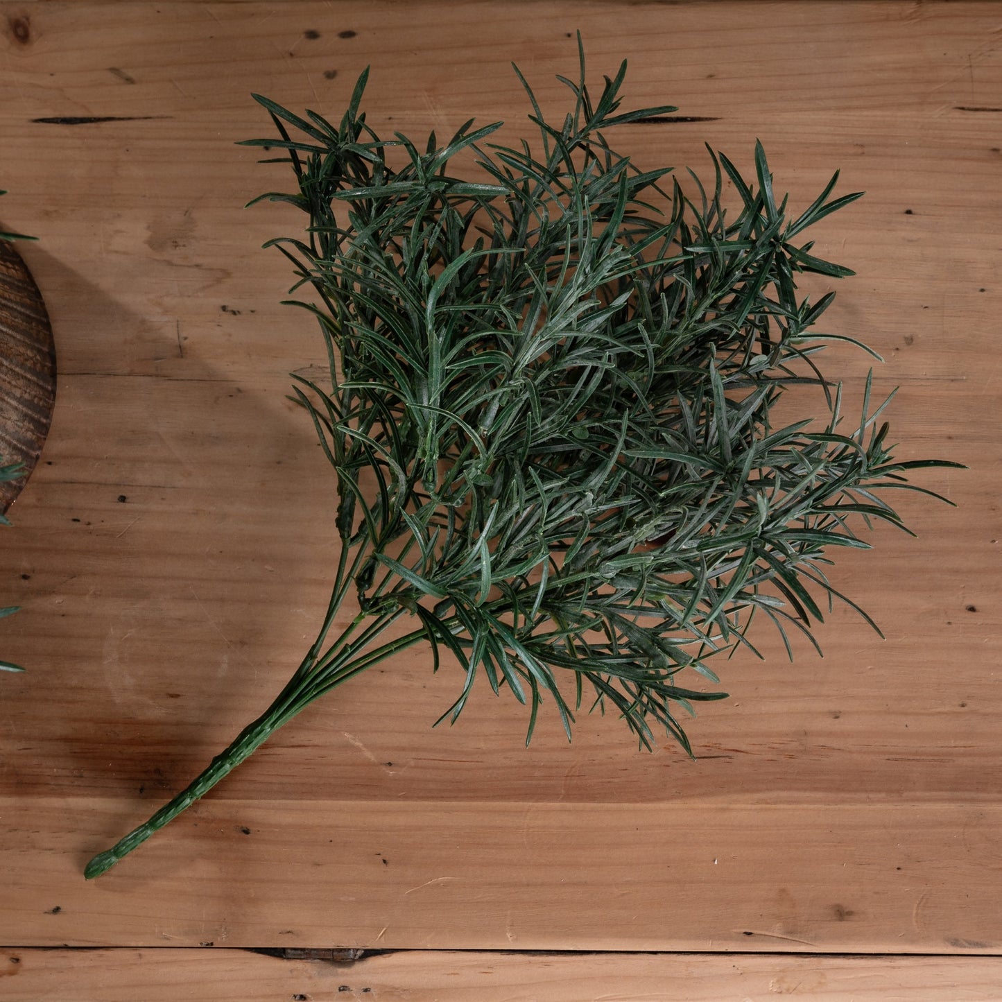 Rosemary Bush Filler