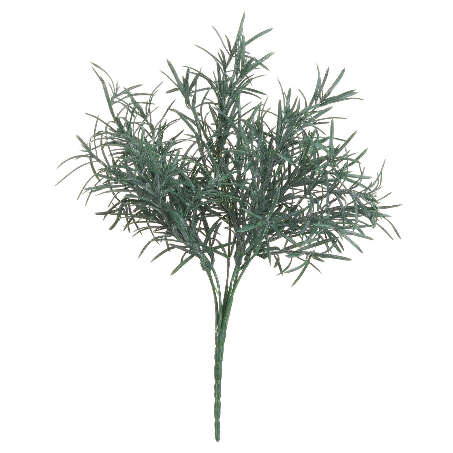 Rosemary Bush Filler